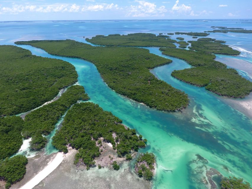 Key West: Eco Safari Sandbar Tour With Snorkeling - Key Points