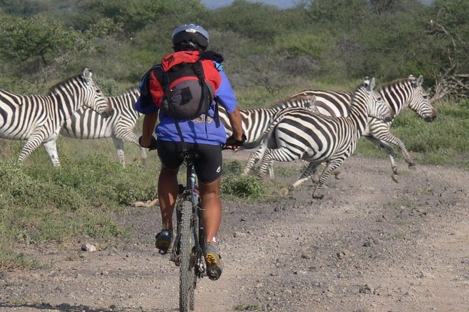 Kilimanjaro Bike Park Safari - Key Points