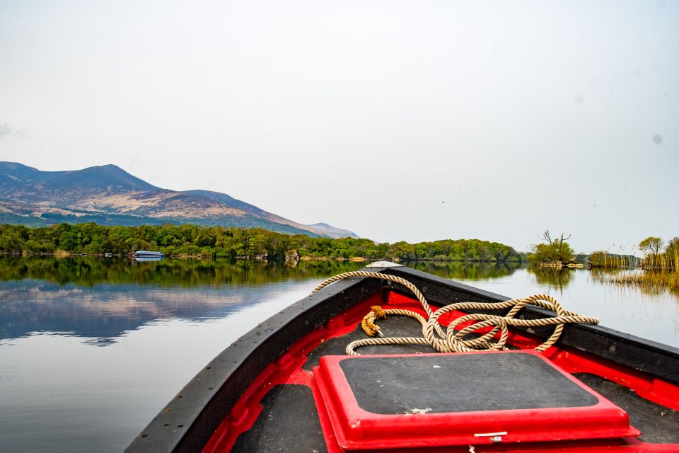 Killarney: Guided Boat Tour to Innisfallen Island - Key Points