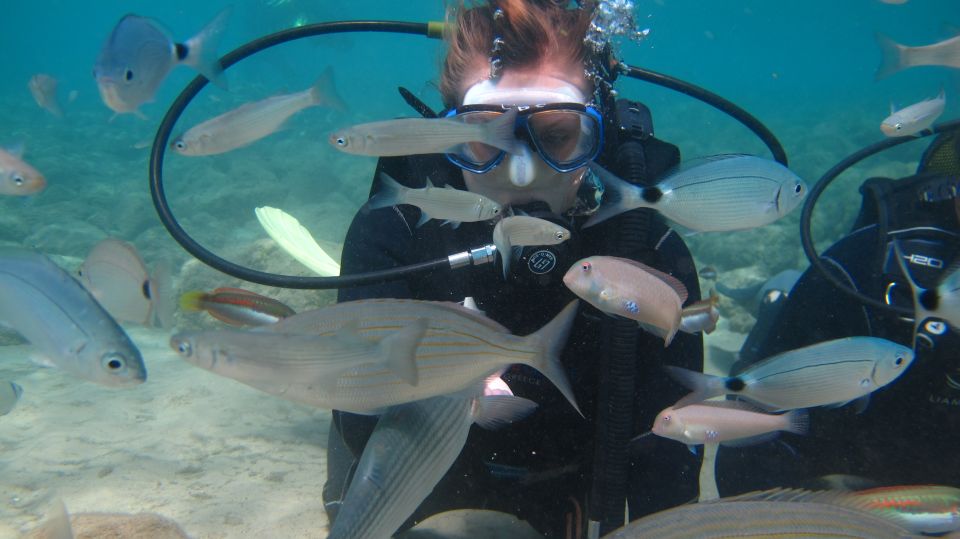 Kos: Beginner Scuba Diving at Pserimos Island - Key Points