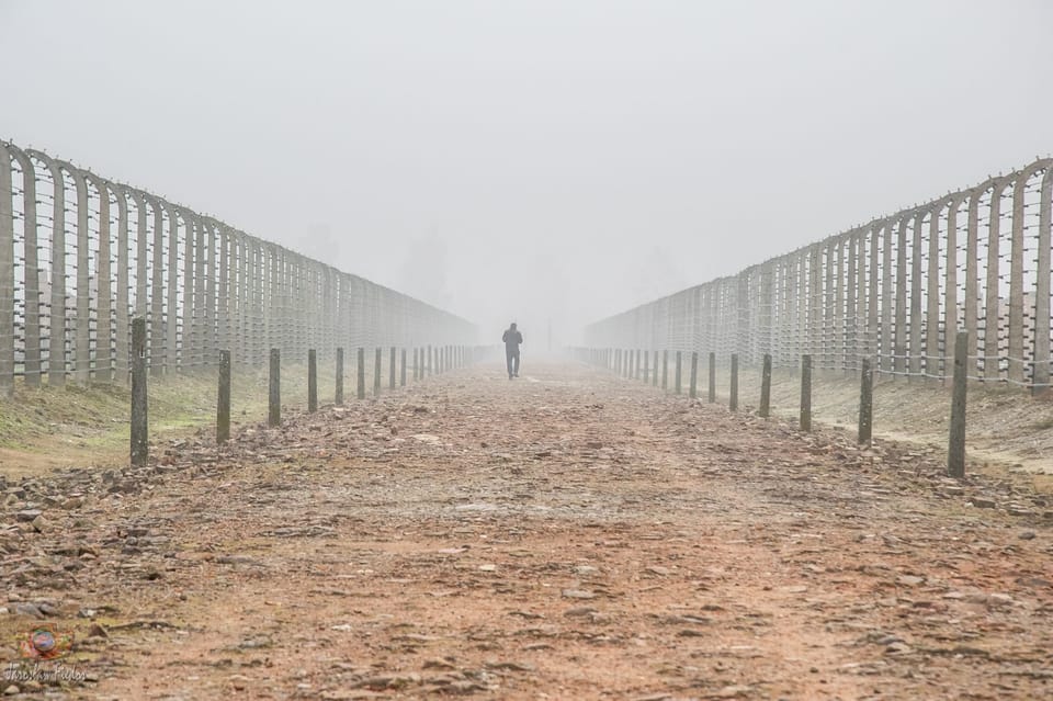 Krakow: Auschwitz-Birkenau Extended Guided Tour & Options - Key Points