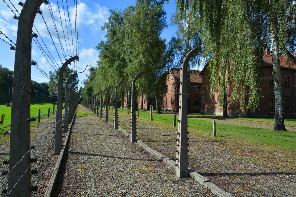 Krakow: Guided Auschwitz Birkenau Tour - Key Points