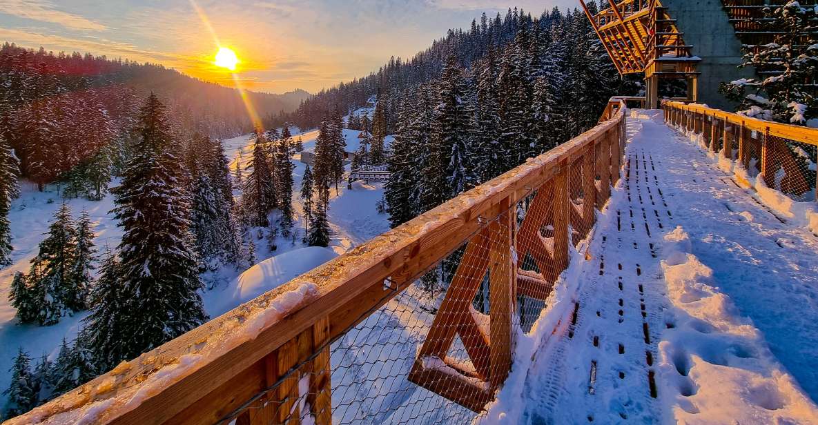 Krakow: Zakopane, Thermal Baths and Gorce Park Treetop Walk - Key Points