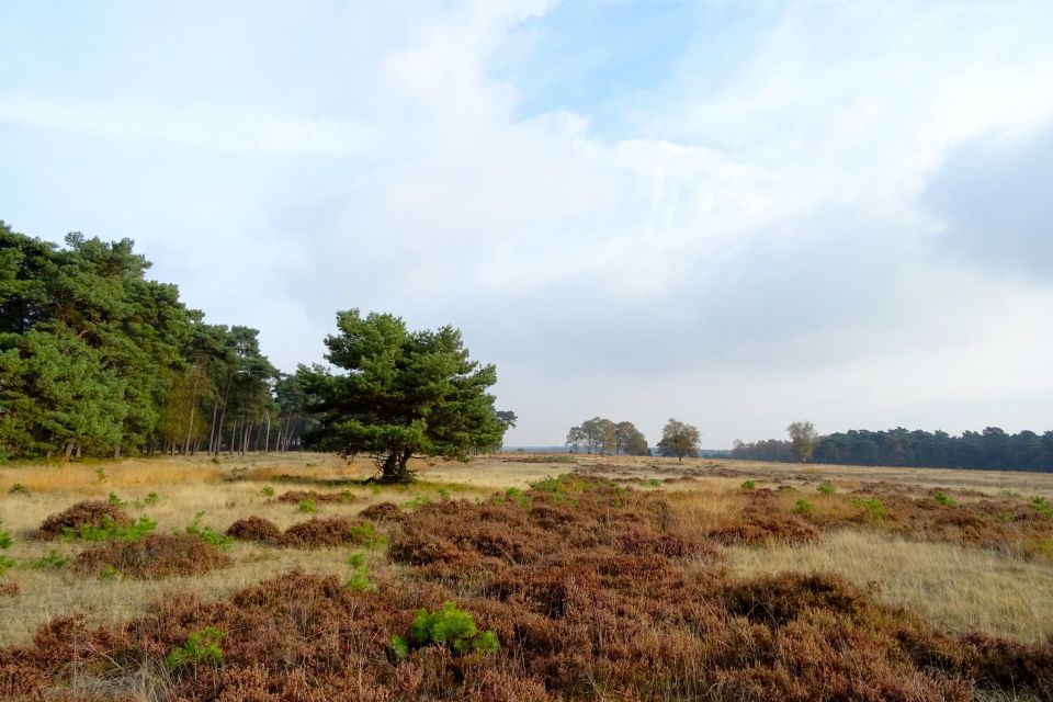 Kröller-Müller Museum and National Park Tour - Key Points