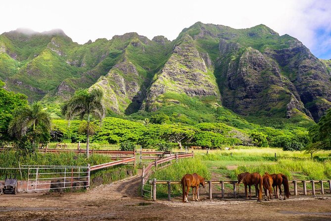 Kualoa Ranch: Hollywood Movie Sites Tour - Key Points