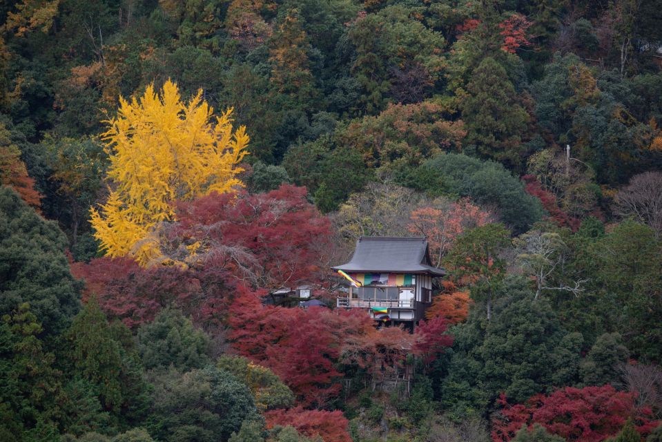 Kyoto: Arashiyama Forest Trek With Authentic Zen Experience - Key Points