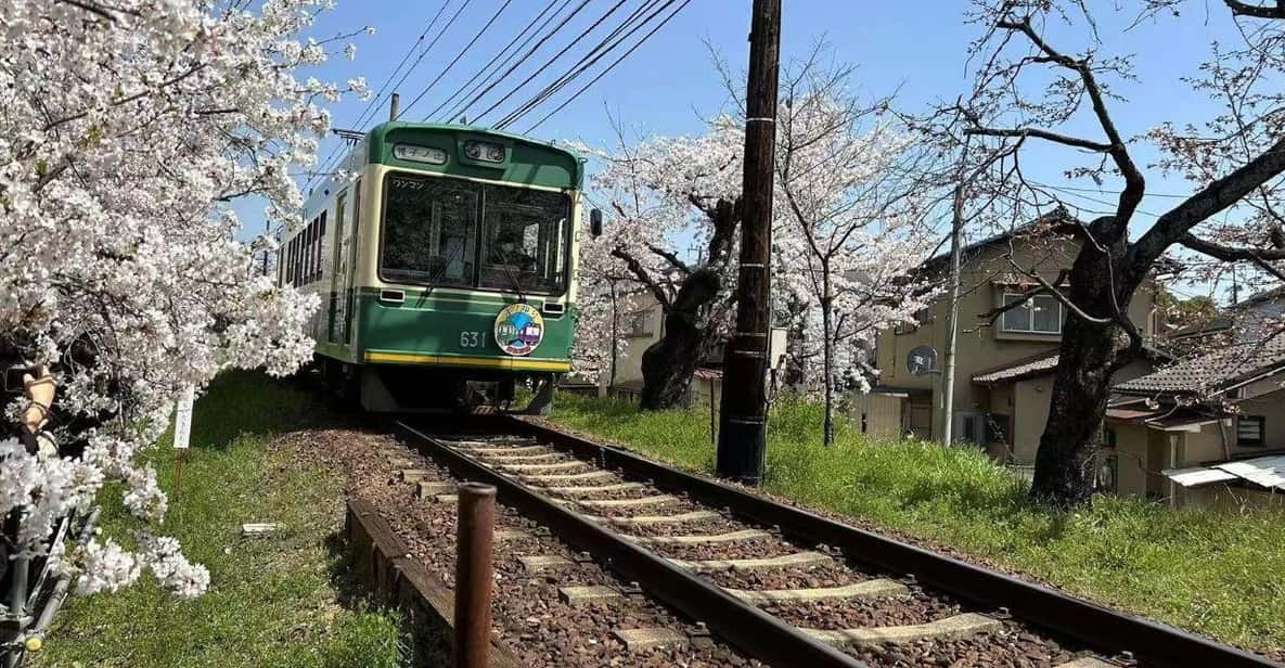 Kyoto/Osaka: Sanzen-in and Arashiyama Day Trip - Key Points