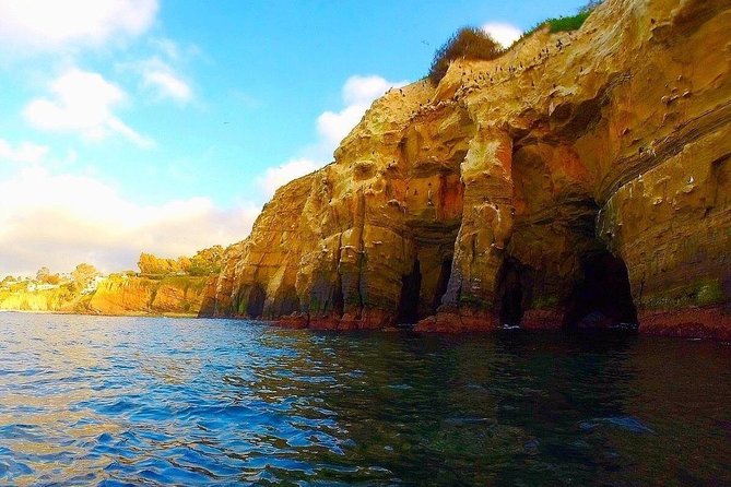 La Jolla Sea Caves Kayak Tour For Two (Tandem Kayak) - Key Points