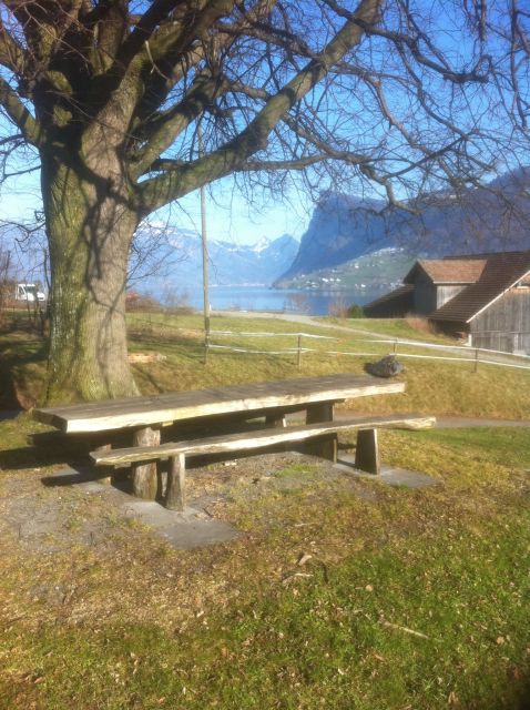 Lake Lucerne Half-day Countryside Walk - Key Points