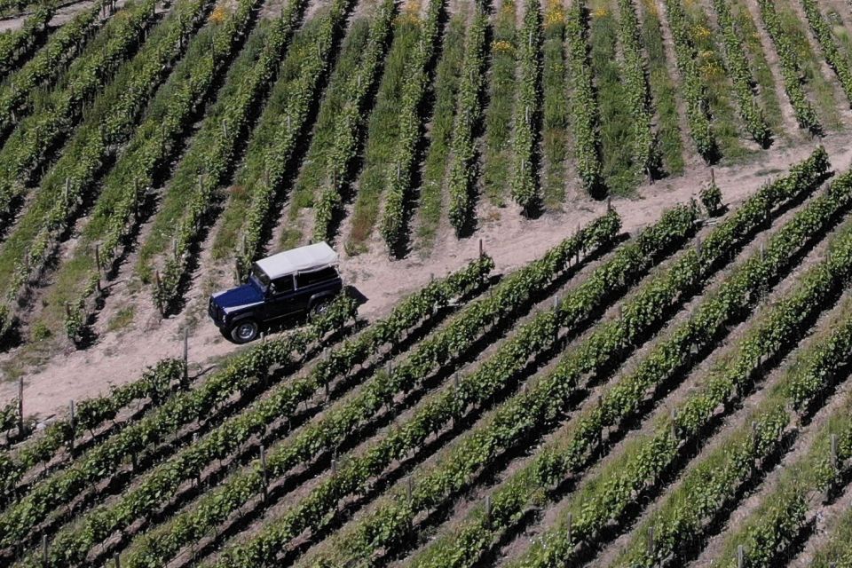 Lamego: Quinta Da Portela De Baixo Winery Tour and Tasting - Key Points