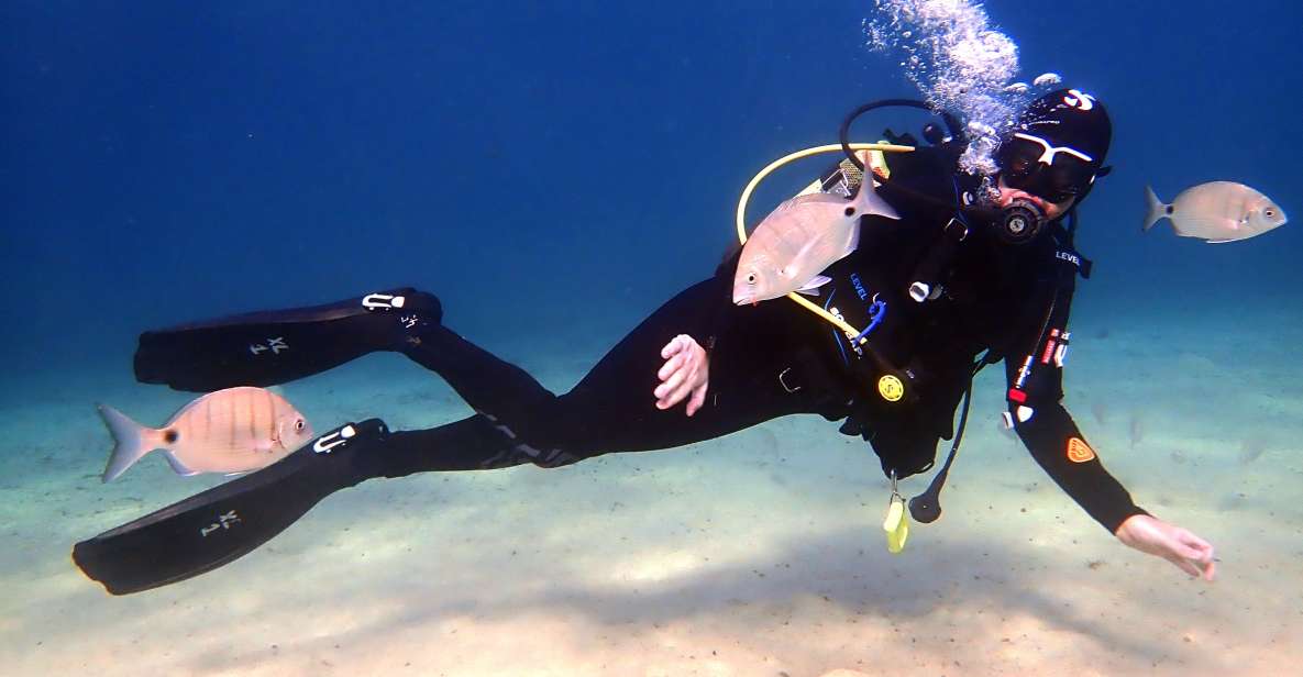 Lanzarote: Beginner Diving Course Costa Teguise (2 Dives) - Key Points