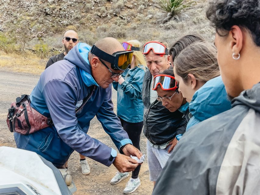 Lanzarote: Guided Off-Road Volcano Buggy Tour - Key Points