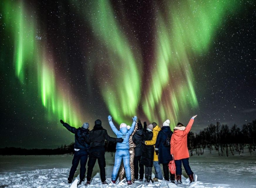 Lapland: Aurora Borealis BBQ Tour - Key Points