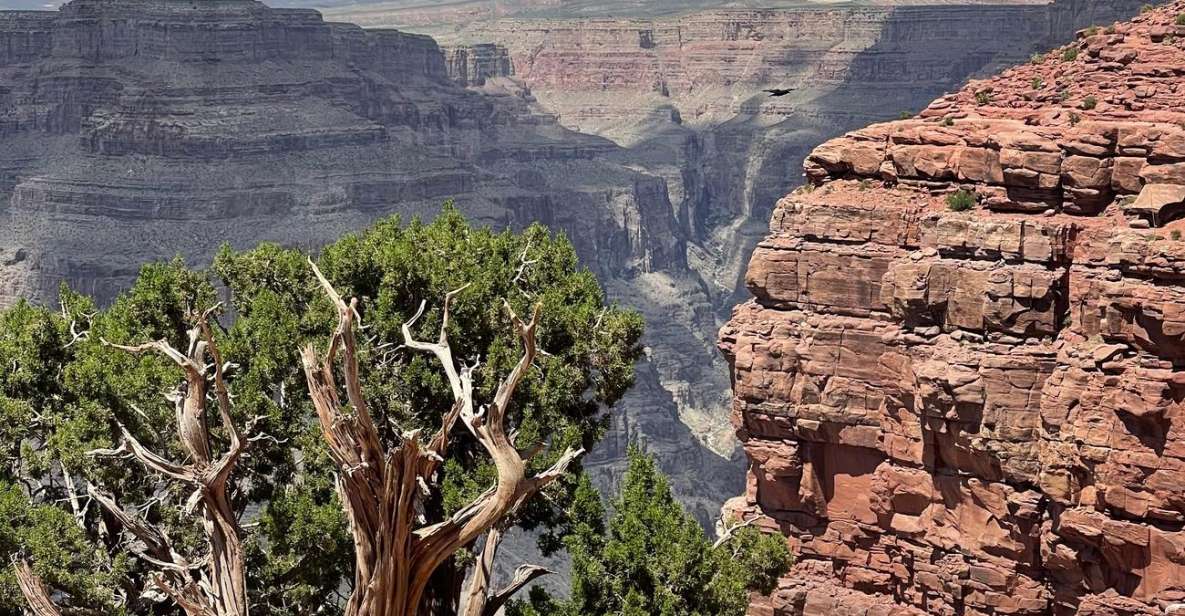 Las Vegas: Grand Canyon West Rim Tour & Skywalk With Lunch - Key Points