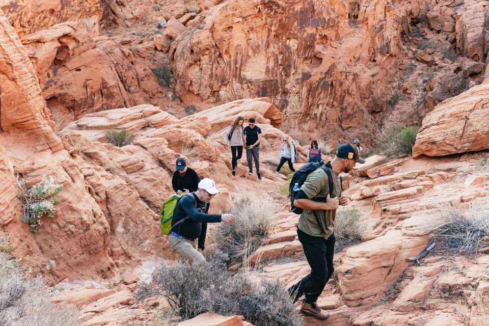 Las Vegas: Valley of Fire Guided Hike With Drinks and Snacks - Key Points