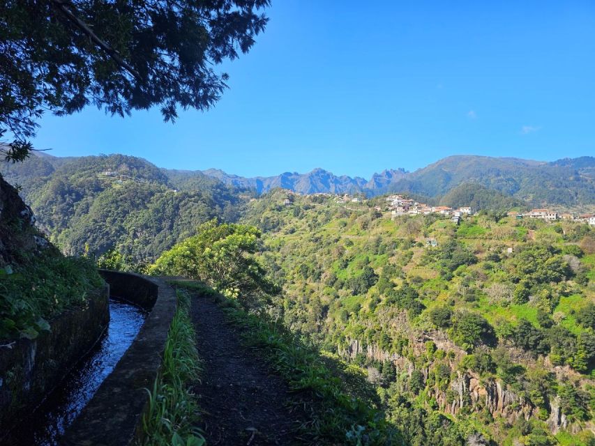 Levada Do Castelejo- Guided Tour by Overland Madeira - Key Points