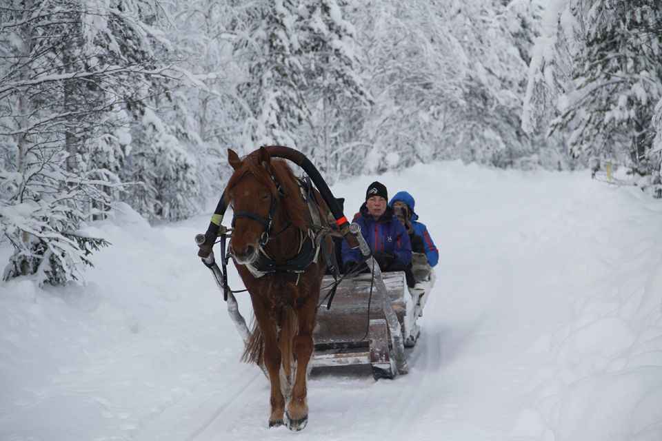 Levi, Polar Lights Tours: One Horse Open Sleigh Ride - Key Points