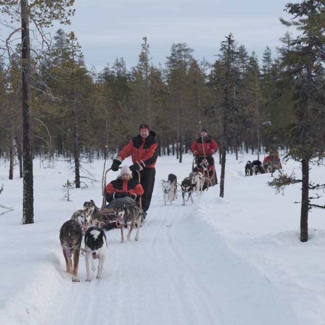 Levi Polar Lights Tours: Reindeer and Husky Safari - Key Points