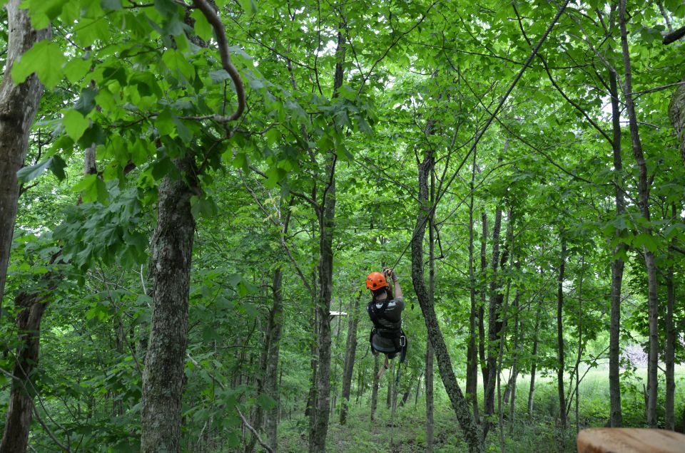 Lexington: Fully Guided Zipline Canopy Tour - Key Points