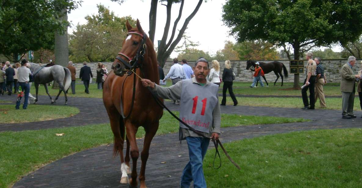 Lexington: Thoroughbred Horse Farm Tour and Keeneland Visit - Key Points