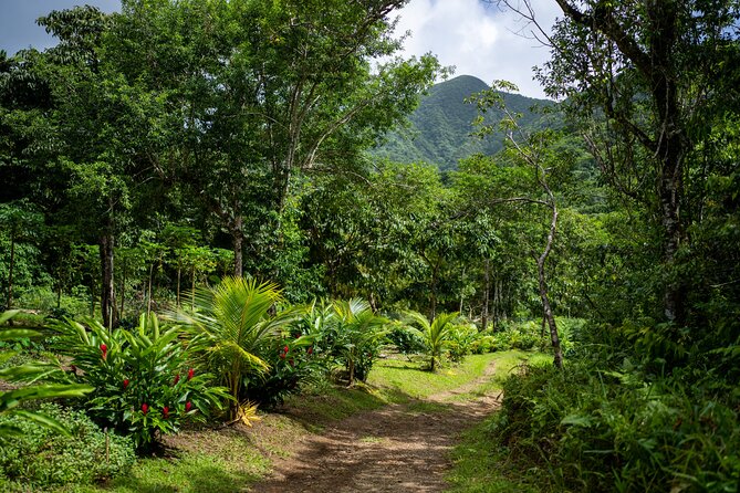 Liamuiga Natural Farm Tour - Meeting and Pickup