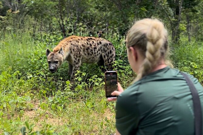 Lion & Wildlife Sanctuary Excursion Victoria Falls - Key Points