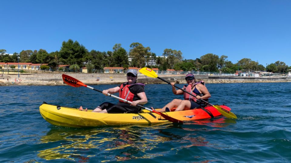 Lisbon Coast Guided Kayak Tour - Key Points