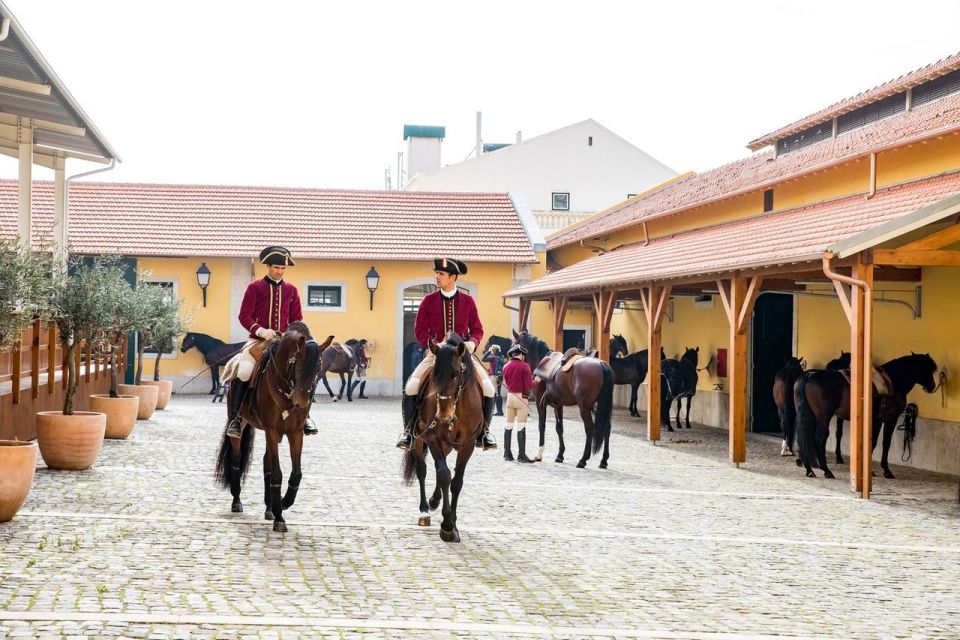 Lisbon: Portuguese Riding School Trainig With Lusitano Horse - Key Points