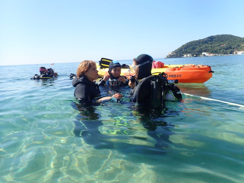 Lisbon: Try Diving in Arrábida Natural Park and Marine Reserve - Key Points