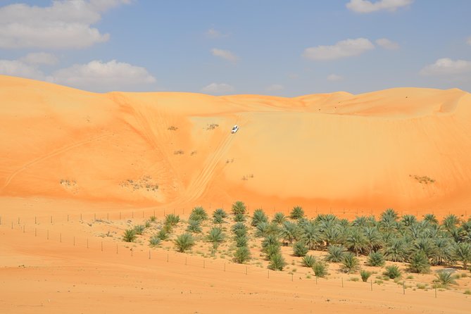 Liwa Full Day Desert Safari (exploring) - Key Points