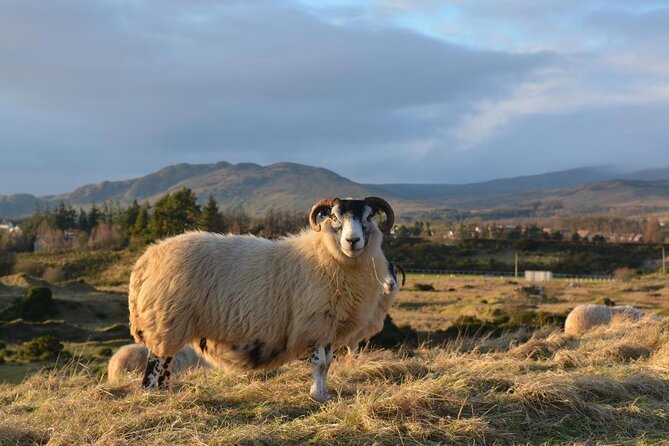 Loch Lomond National Park Tour With 2 Walks Starting Glasgow - Key Points