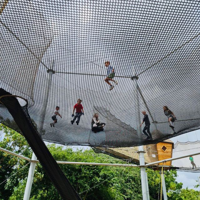 London: Gripped Aerial Park All-Access Entry Ticket - Key Points