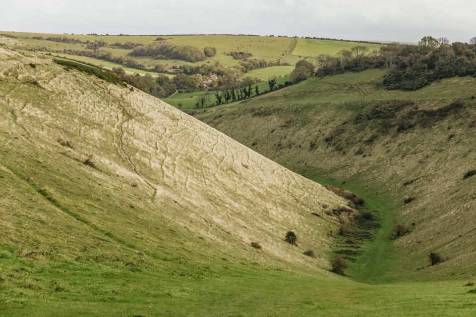 London: South Downs White Cliffs Day Trip With Train Tickets - Key Points