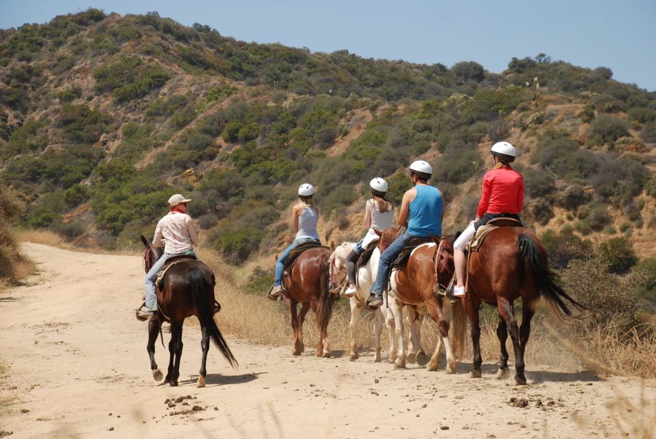 Los Angeles: 2-Hour Hollywood Trail Horseback Riding Tour - Key Points