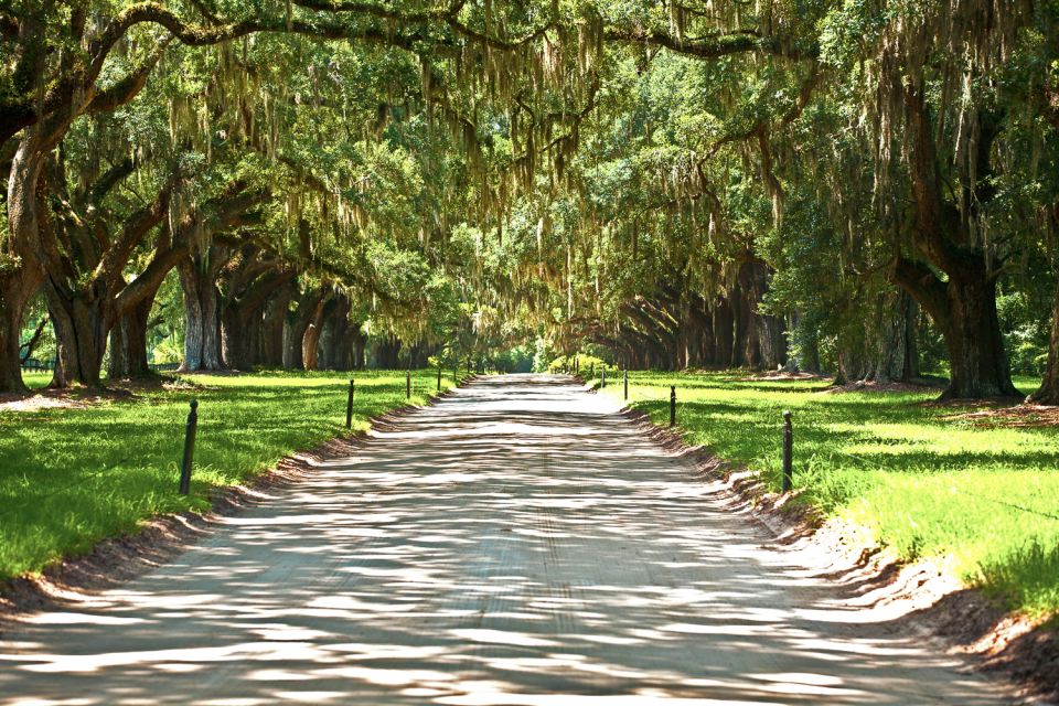 Louisiana: Laura, Oak Alley, or Whitney Plantation Tours - Key Points