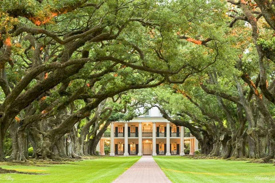 Louisiana Plantation Country Half-Day Tour - Key Points