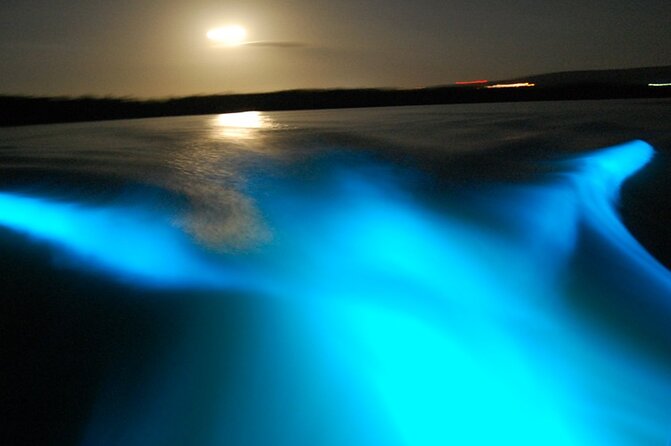 Luminous Lagoon From Montego Bay With Private Transfers - Included in the Tour