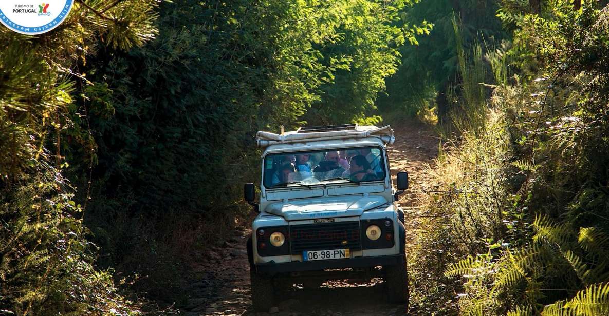 Madeira: Half-Day Nuns Valley and Sea Cliff Tour - Key Points