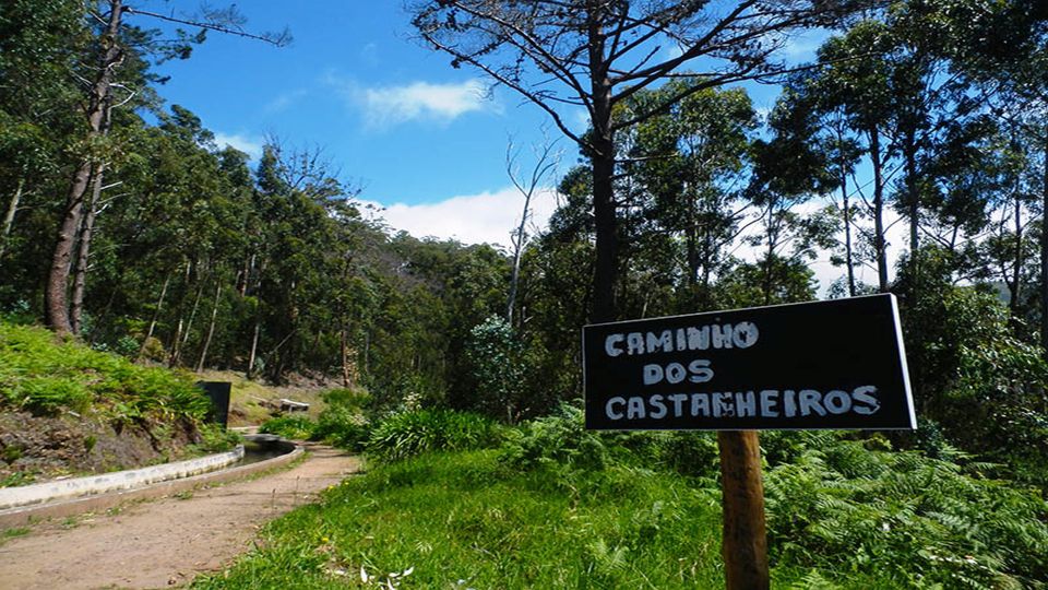 Madeira: Levada Calheta to Prazeres Private Walking Tour - Key Points