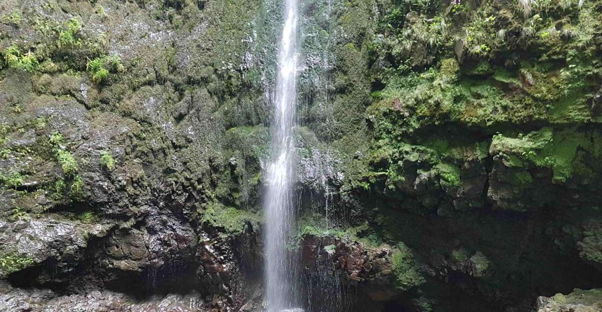 Madeira: Private Guided Levada Calderão Verde Walk PR9 - Key Points