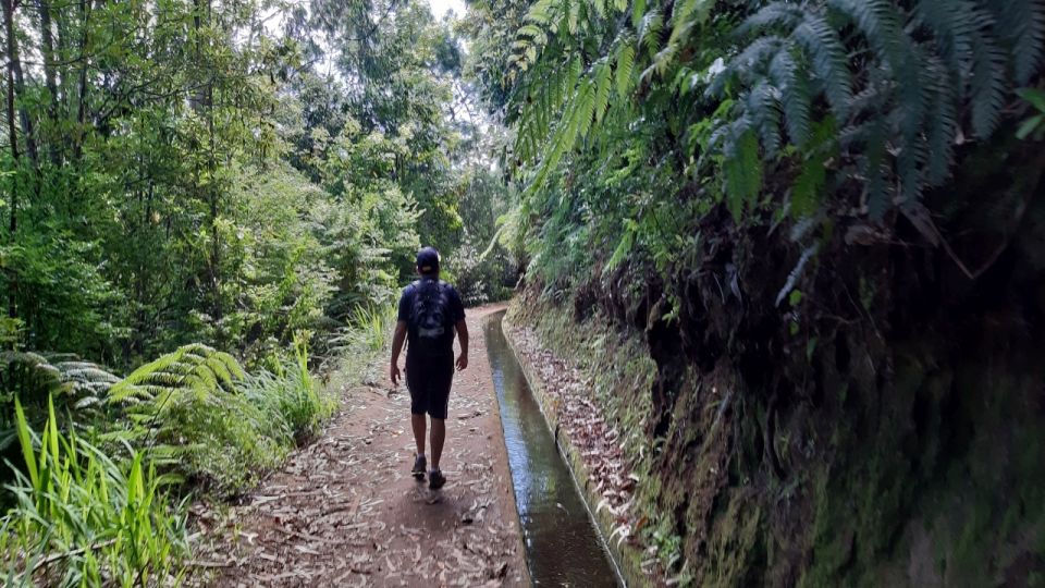 Madeira: Private Guided Levada Do Rei Walk PR18 - Key Points