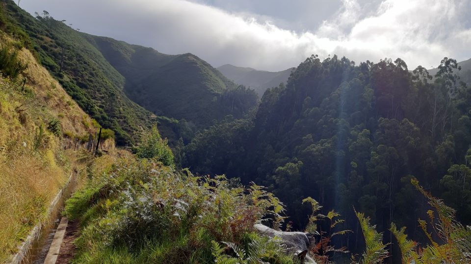 Madeira: Private Levada Ponta Do Pargo Walk - Key Points