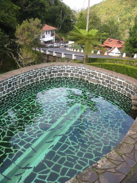 Madeira: Ribeiro Frio to Portela 4-Hour Guided Walk - Key Points