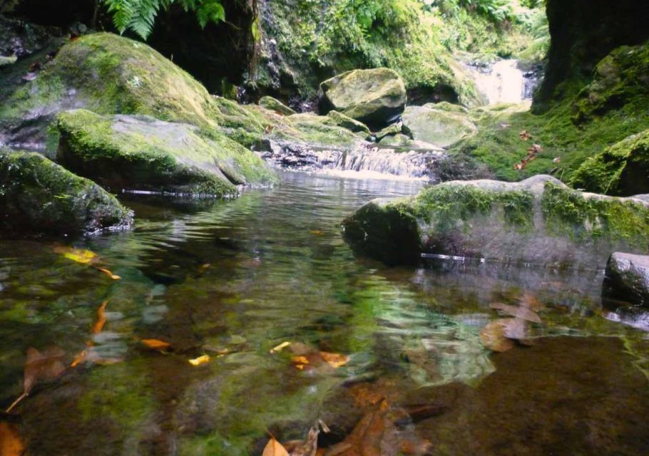 Madeira: Walking Tour Levada Do Rei/Ribeiro Bonito - Key Points