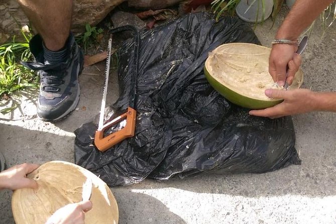 Make Your Own Wooden Bowl From the Fruit of Calabash, National Tree of St Lucia - About the Calabash Fruit