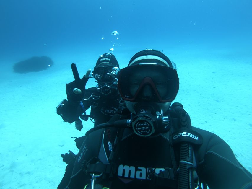 Malta: St. Pauls Bay 1 Day Scuba Diving Course - Key Points