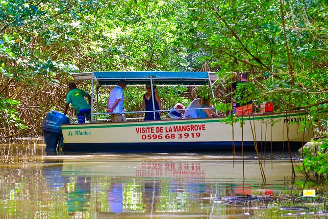 Mangrove Guided Tour - Key Points