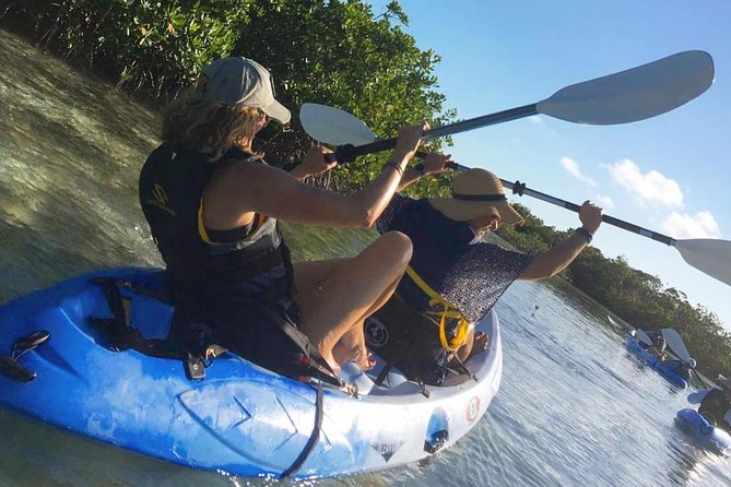 Mangroves Kayak Tour - Key Points