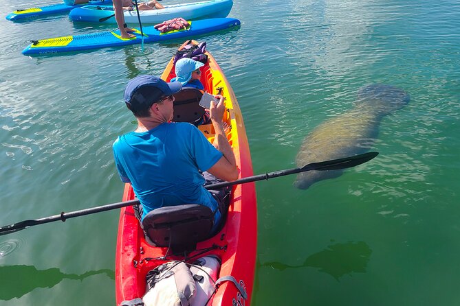 Mangroves, Manatees, and a Hidden Beach: Kayak Tour - Key Points