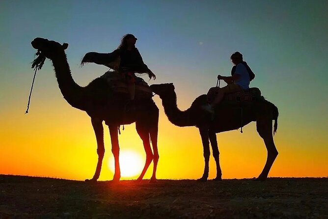 Marrakech Agafay Desert Dinner Show With Sunset Camel Ride - Key Points